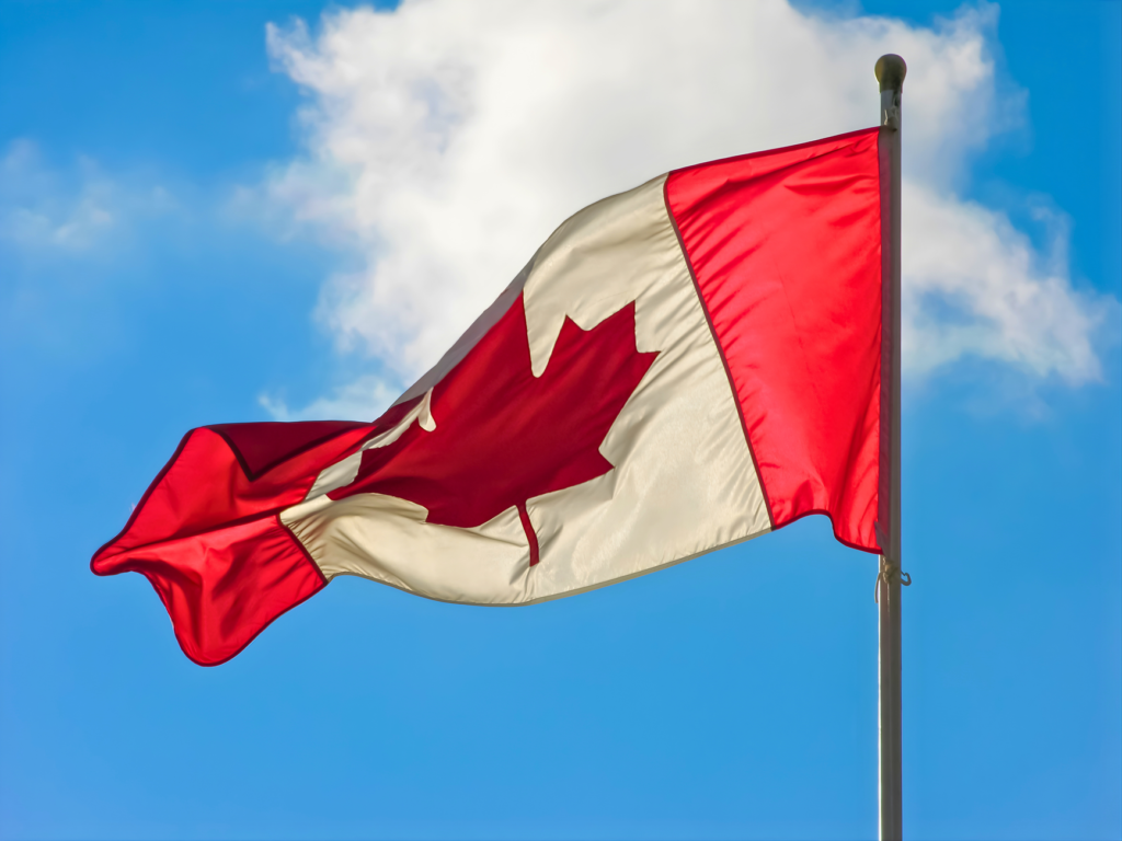 Newcomer reviewing settlement information and community support options in Canada